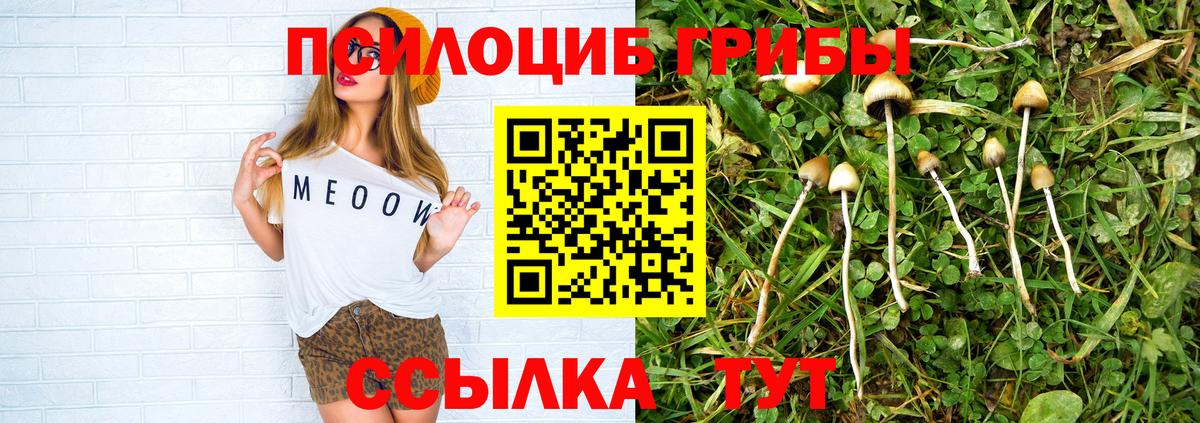 Псилоцибиновые грибы GOLDEN TEACHER  Вход с VPN  как найти закладки  Воронеж 