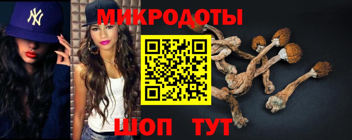 Псилоцибиновые грибы ЛСД Воронеж